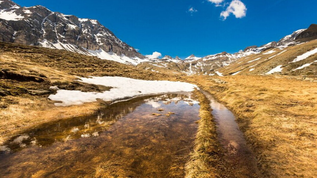 Tarda primavera nel Vallone delle Cime Bianche. Foto di Annamaria Gremmo.