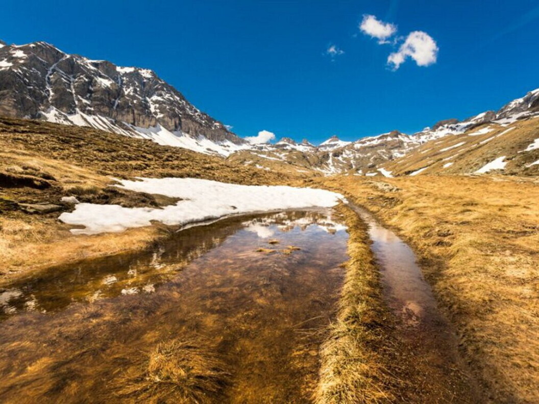 Tarda primavera nel Vallone delle Cime Bianche. Foto di Annamaria Gremmo.