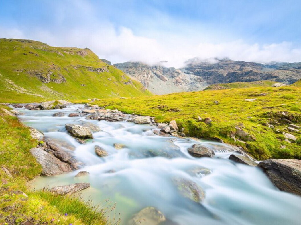 L’estate nel Vallone delle Cime Bianche. Foto di Francesco Sisti.