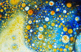 Microbi che sfidano il tempo