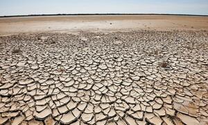 Geo-engineering: a contribution to mitigate climate change?