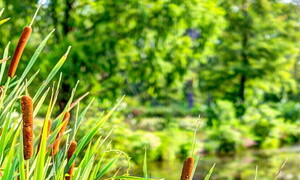 Giornata mondiale delle zone umide 2022