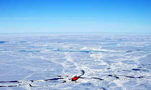 Which is coldest, the Arctic or Antarctica?