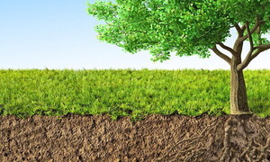 Sano come un ratto (nudo)