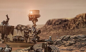 Siamo figli del dado?