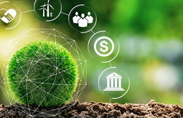 L'ECONOMIA CIRCOLARE