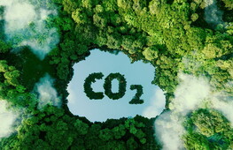 LA DECARBONIZZAZIONE