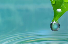 L’ACQUA: UN BENE PREZIOSO