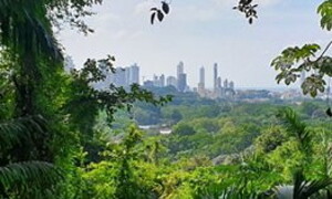 Minacce alla biodiversità