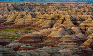 Factors that shape the landscape