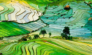 Anthropogenic landscapes