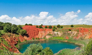 Ecosistemi e attività umane