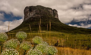 Chapada Diamantina: a treasure beyond gemstones