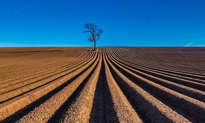 Il suolo e le attività umane