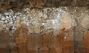 Fattori della pedogenesi