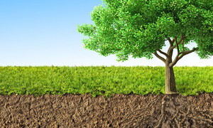 Sano come un ratto (nudo)