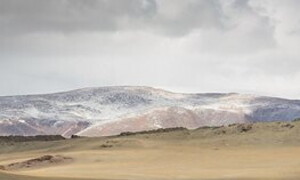 Steppa in difficoltà