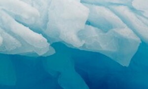 Alla scoperta dei cavalieri dei ghiacci