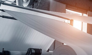 The resources of the forest