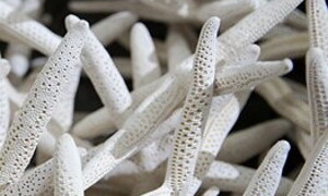 Difendiamo la barriera