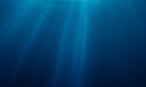 The race for metals at the bottom of the sea