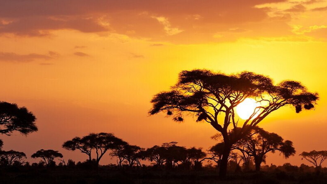 Tramonto