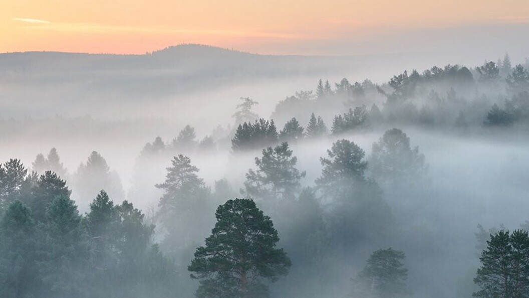 Nebbia