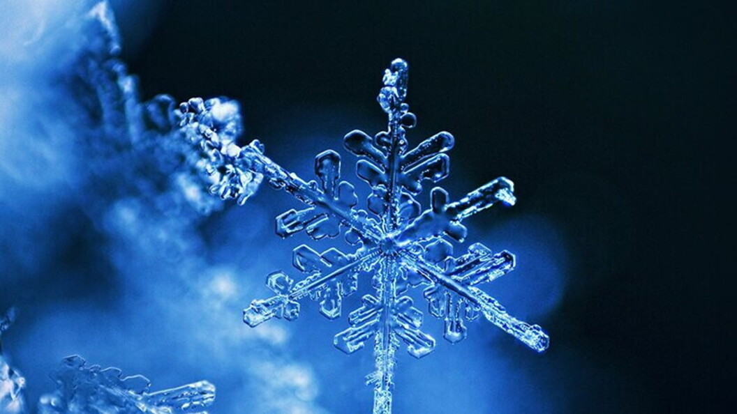 Neve
