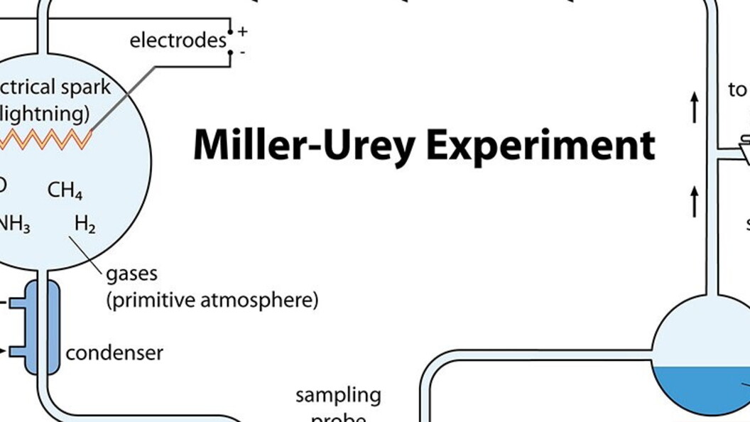 Geni, DNA e cromosomi