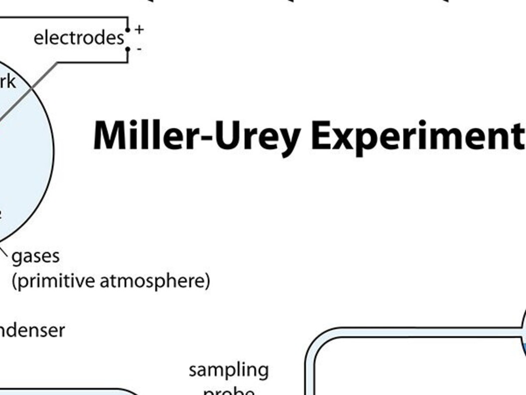 Geni, DNA e cromosomi