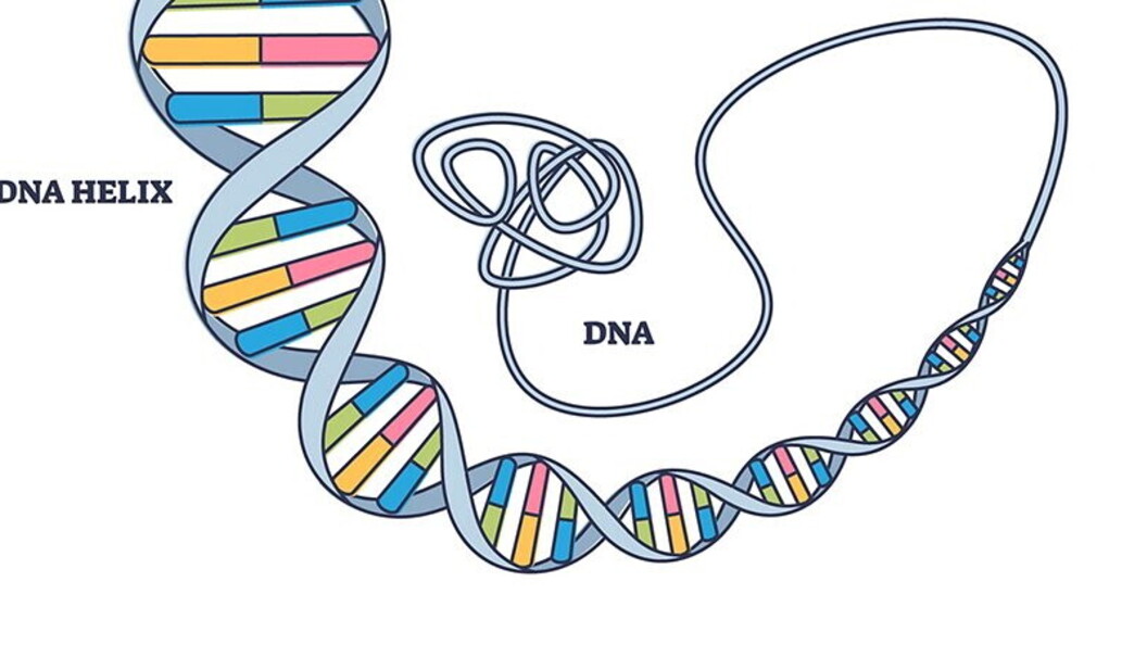 DNA e basi