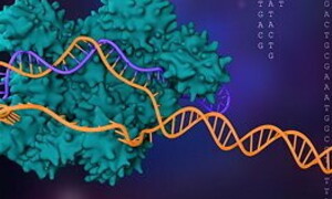 Crispr-Cas9 la fabbrica dei geni
