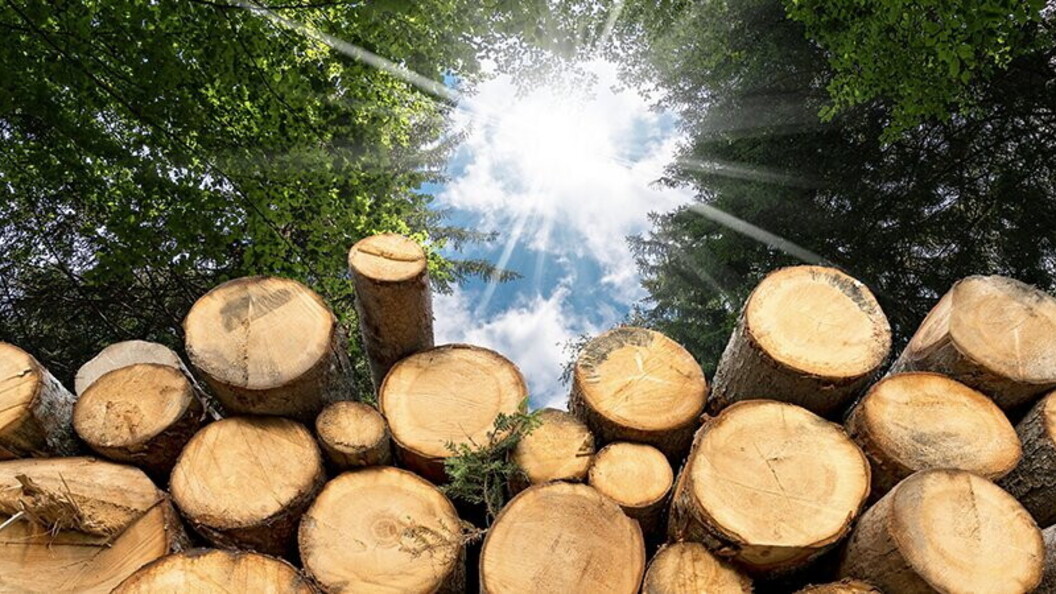 Energia da biomassa