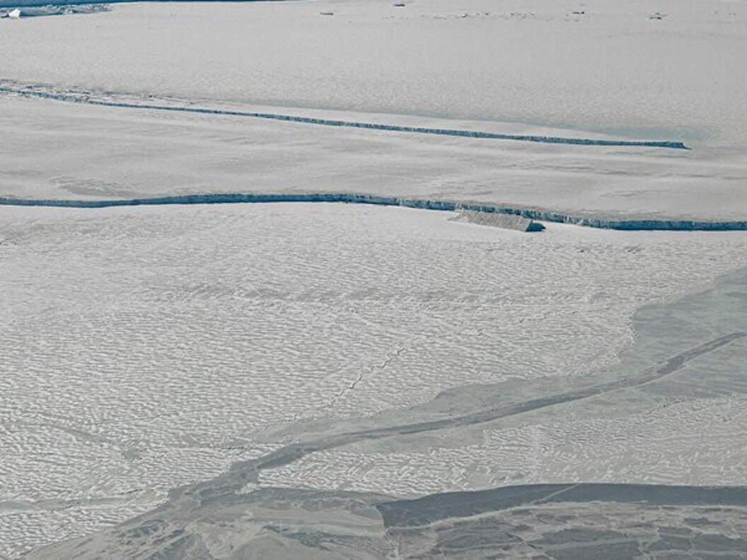 Piattaforma di Ross, in Antartide