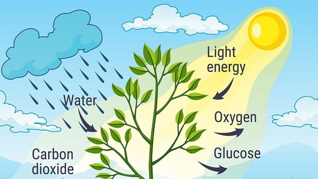 Gas atmosferici