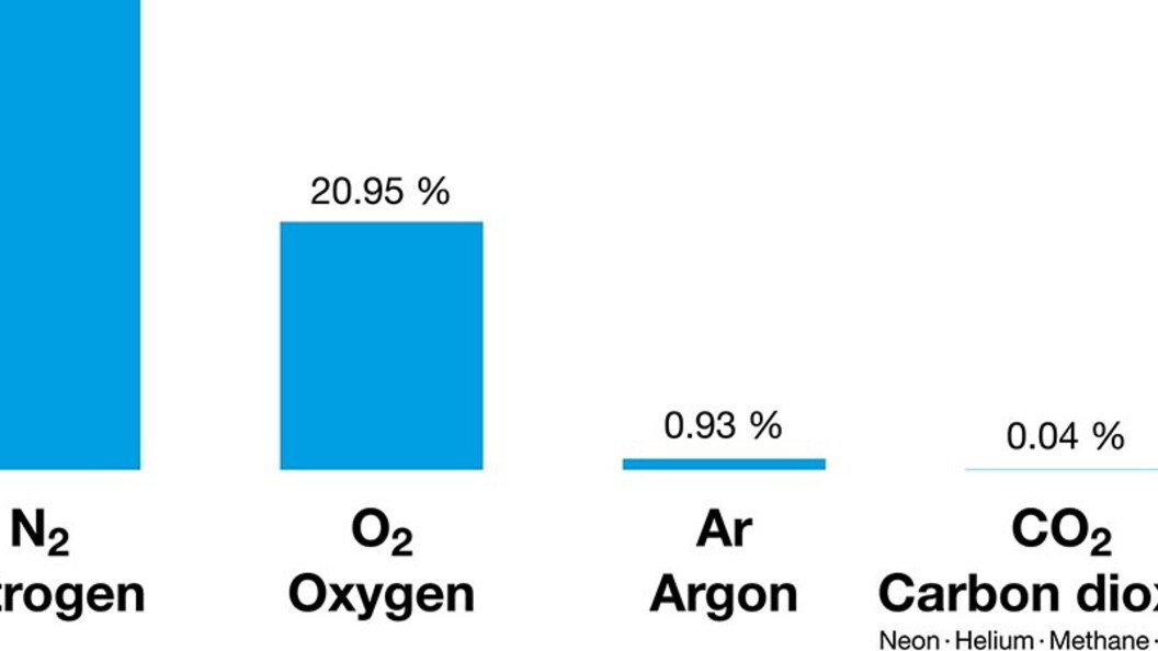 Percentuali di gas atmosferici