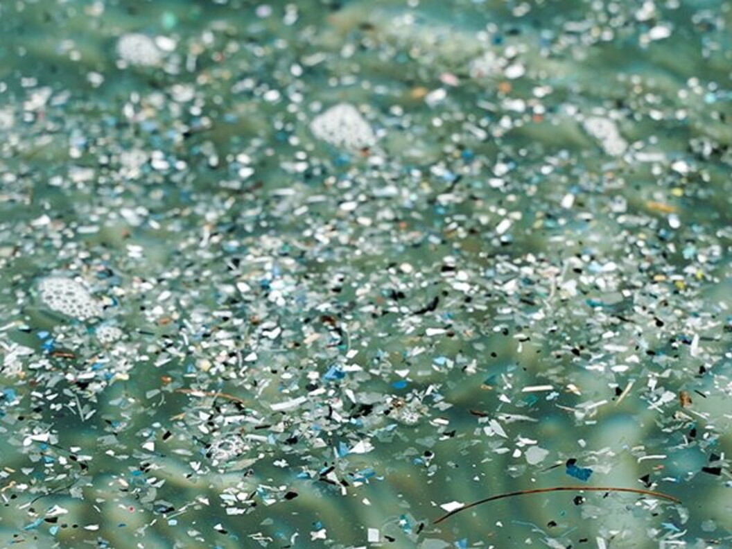 microplastiche