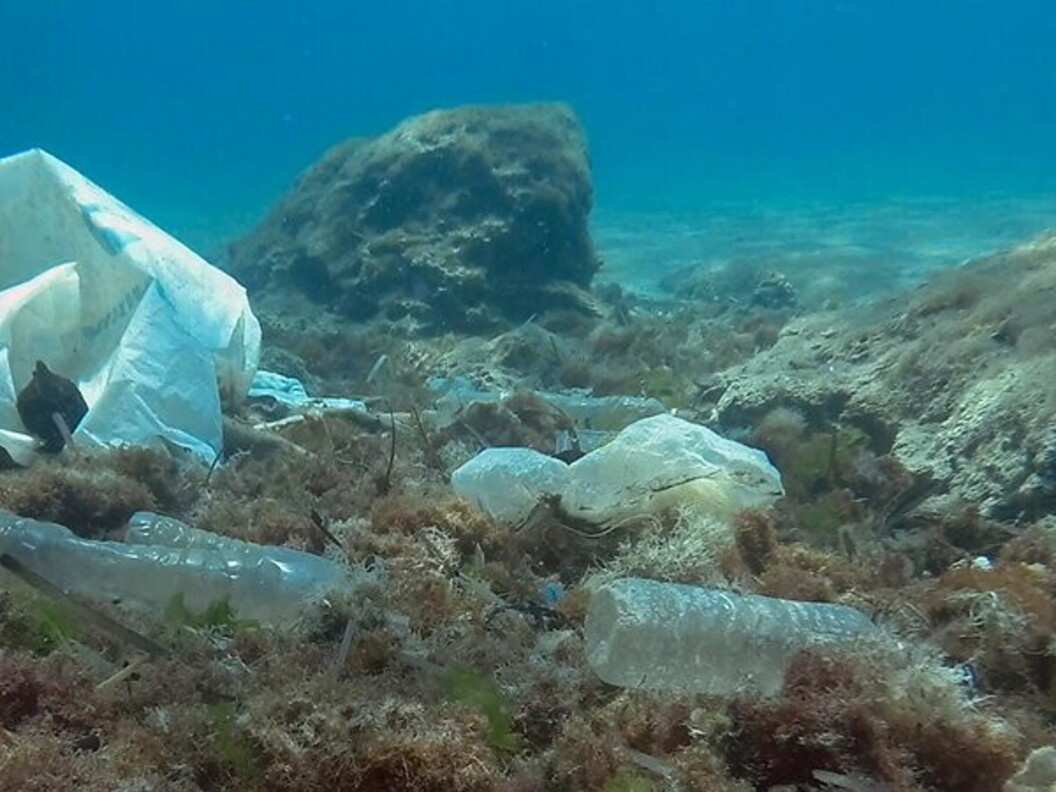 Plastica sul fondo del mare