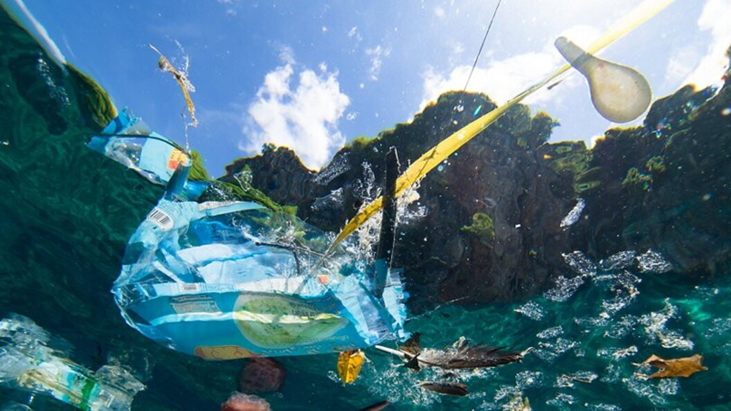 Rifiuti galleggianti