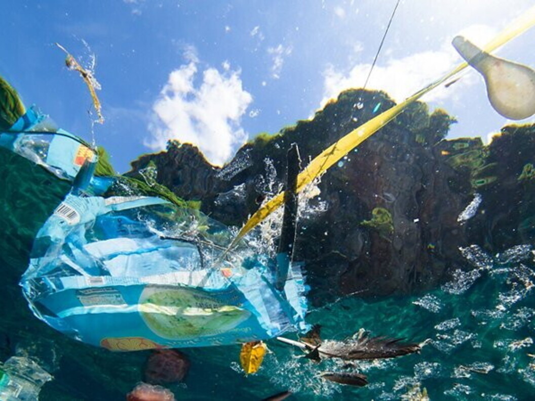 Rifiuti galleggianti