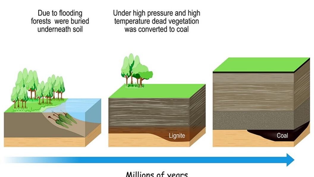 Formazione del carbone