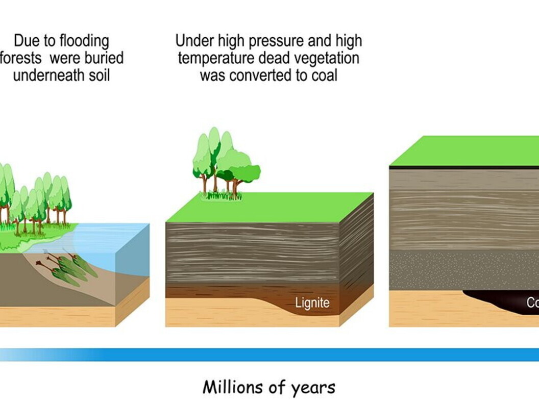 Formazione del carbone