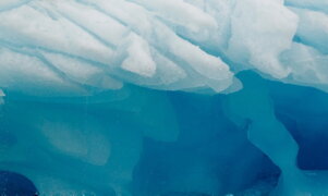 Alla scoperta dei cavalieri dei ghiacci