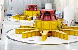 Small and large plants 