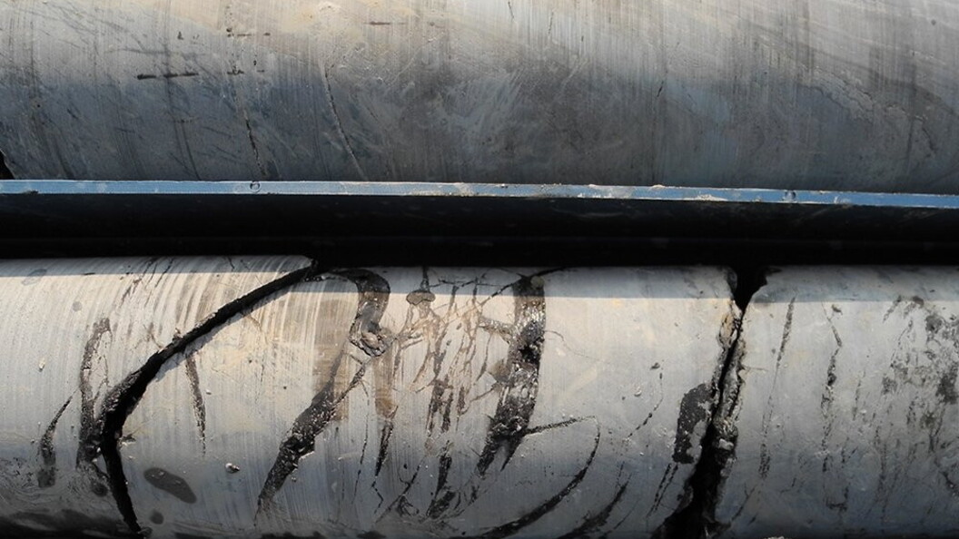 Carota di sedimento contenente petrolio