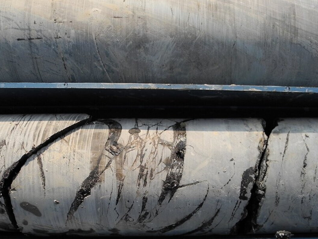 Carota di sedimento contenente petrolio