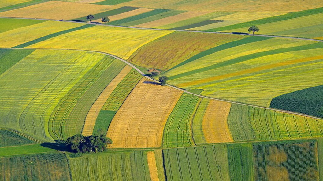Agricoltura intensiva