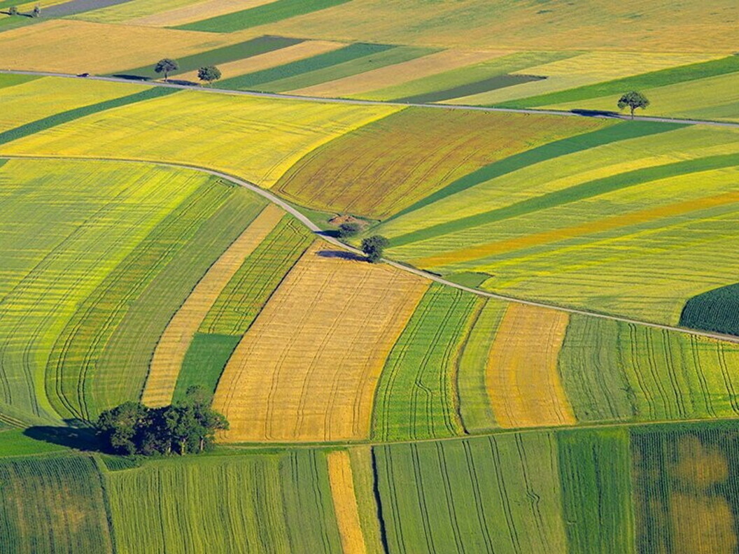 Agricoltura intensiva
