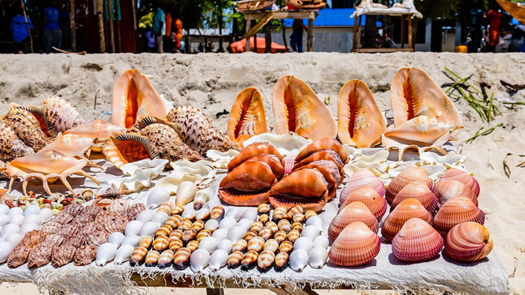 Souvenir poco sostenibili