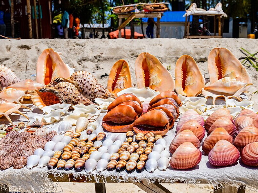 Souvenir poco sostenibili